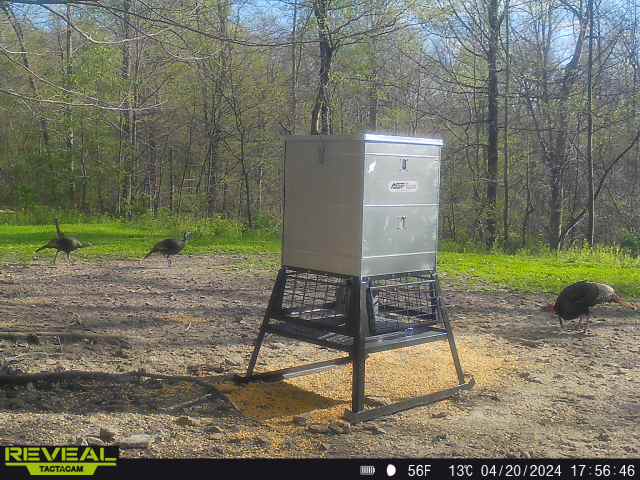 1,000lb Stand & Fill™ Broadcast w/ cage