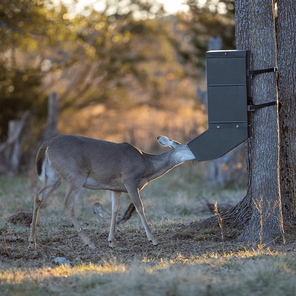 EZ Tree Feeder